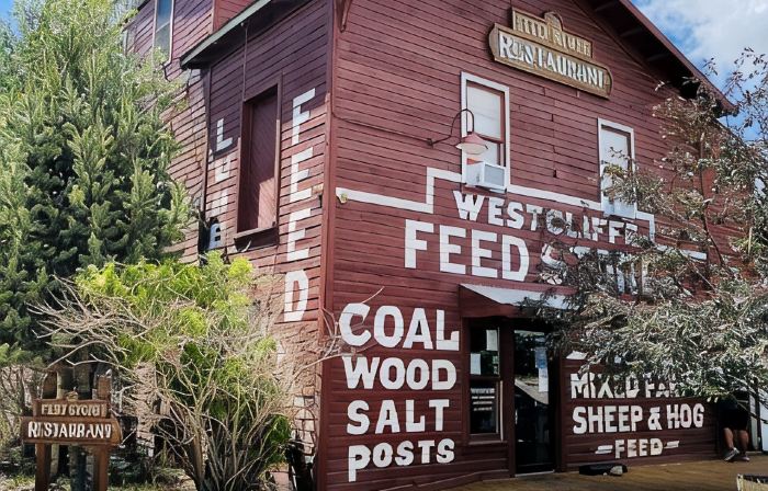 Historic Westcliffe Outpost Penthouse Apt 2bed/2bath