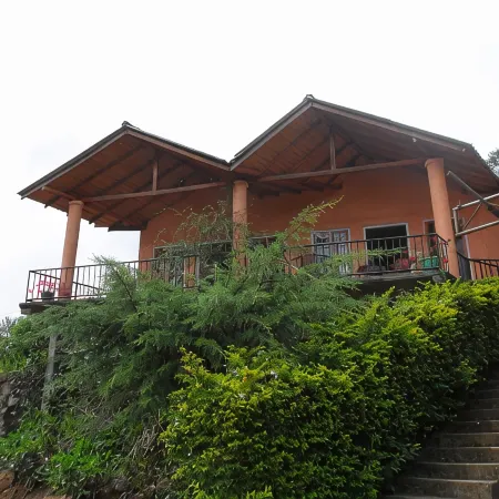 Tea Garden Holiday Inn
