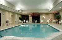 Hampton Inn Lacrosse/Onalaska - Pools
