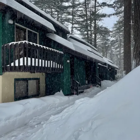 Cozy Private Mountain Retreat, 5 Mins to Echo Lake, 3 Mins to Town