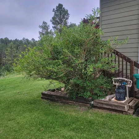 Beautiful & Comfy CABIN Retreat with abundant wildlife, WIFI and AC