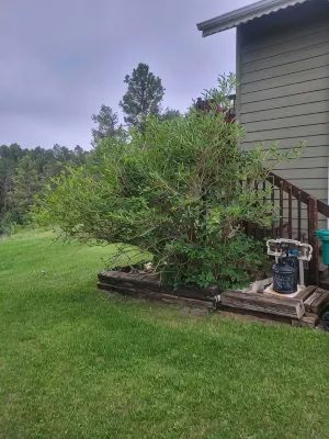 Beautiful & Comfy CABIN Retreat with abundant wildlife, WIFI and AC
