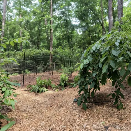 Garden Ensuite at the Chapel Hill Retreat Center