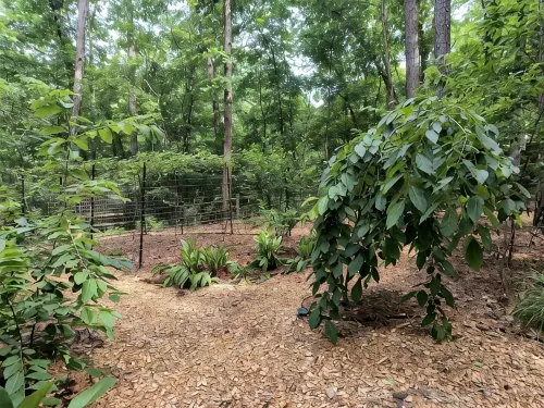 Garden Ensuite at the Chapel Hill Retreat Center