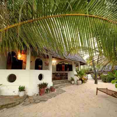 Kipepeo Lodge Zanzibar Hotel Exterior