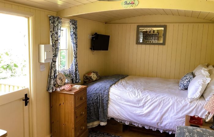 Lilly's Pad