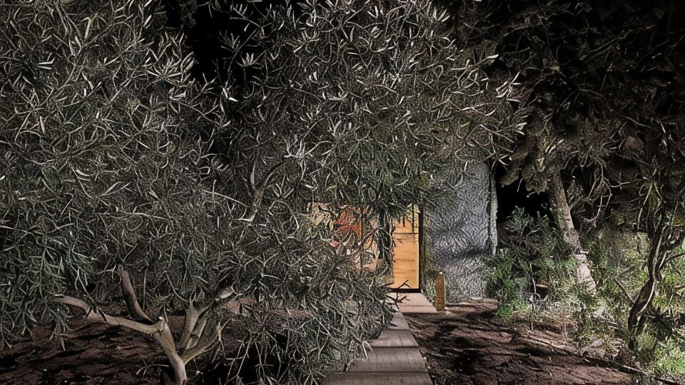 Cabane and Spa