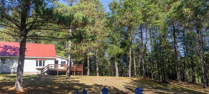Large Creekside Cabin in the Huron National Forest - outdoor recreation mecca Hotels in Oscoda County