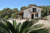 Villa Cycas Relaxation in Nature - balcony