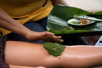Jasmin Villa Ayurveda Resort - spa