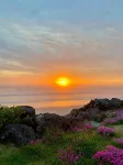 Cottage by the Sea June 2-17Available - Wifi