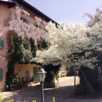 Casa Violetta B&B - Villas