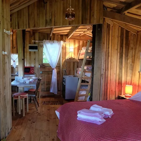 Cabane Dans les Arbres - Tree House