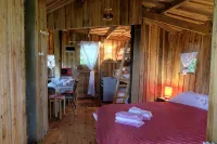 Cabane Dans les Arbres - Tree House - Pools