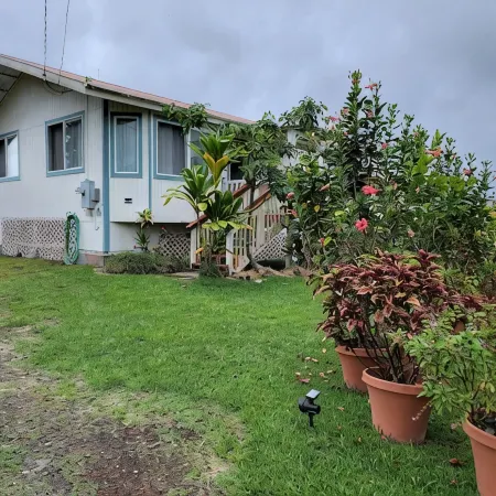 The Hilo Hula Hut