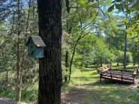 Venus ~ Cabin Sixteen ~ Pet Friendly ~ Lakefront - Chalets