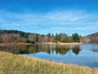 Fully restored cabin, 150 years old, nestled on Lookout Creek Farms - 2-Star