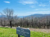 New Blue RIdge Mountains Montebello, Virginia with stary stary skies - シャレー