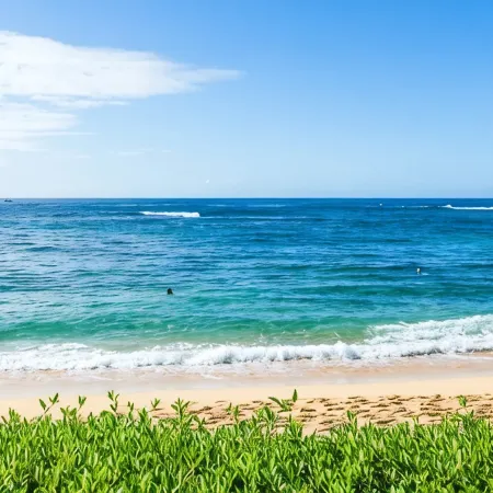 Kiahuna Plantation #198 - The Best Beachfront Condominium on Kauai