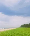 Chan Beach Resort - balcony