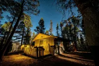 The Den- Forest Cabin Retreat - Hytter