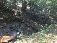 Come to the mountains to a rustic cabin by a creek. - 3つ星