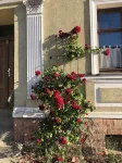 Hiking and swimming: Cozy apartment in Joachimsthal - 酒店式公寓