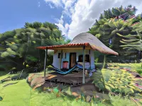 Finca del Sol Eco Lodge - Homestays