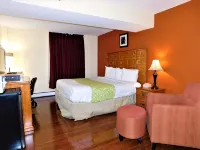 Americas Best Value Inn & Suites Anchorage Airport - Motel