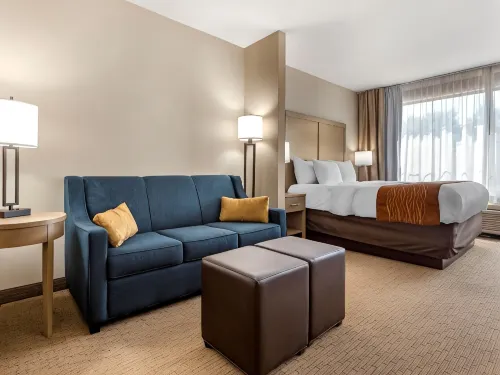 Comfort Inn & Suites Farmington - Victor - Park Yeri