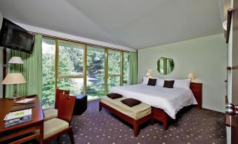 Logis Hotel des Lacs d'Halco