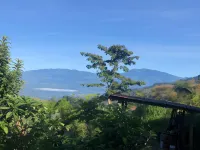 Cabañas Colibrí Tayutic Hotels in Turrialba