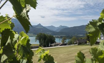 a scenic view of a lake with mountains in the background , surrounded by green hills and a vineyard at The View