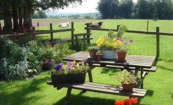 a picnic table is surrounded by potted plants and flowers in a green field , with a cow grazing nearby at Yew Tree Farm Cottages Congleton