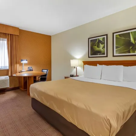 Quality Inn & Suites Raleigh Durham Airport