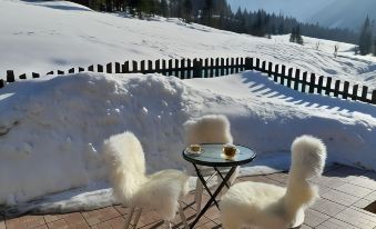 Secluded Apartment in Ferlach Near Bodental Ski Lift