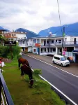 Alpine Resort Các khách sạn ở Rudraprayag