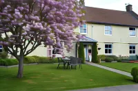 The Lawns Tea Room and B&B Hotels in Street