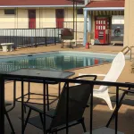 Ladybird Inn - piscine