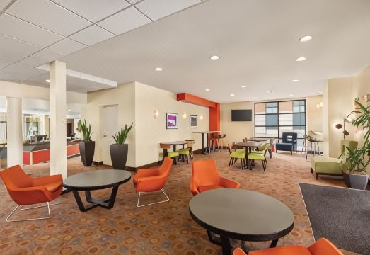 스테이파인애플 유니버시티 인