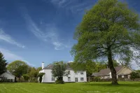 Leworthy Farmhouse Bed and Breakfast - Homestays