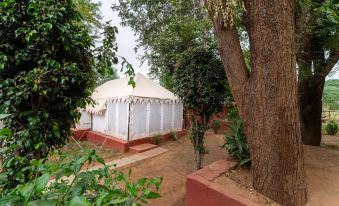 Ranthambore Tiger Resort by Park Tree