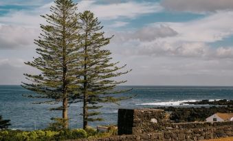 Azores Youth Hostels - Pico