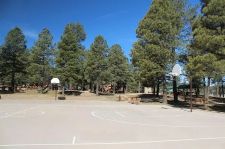 Stunning Views and Cozy Outdoor Spaces - Inviting Family Retreat