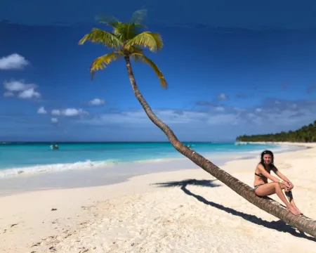 Tribe Inn & Rooftop Lounge