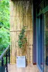 Forest Face Lodge Hotels in Ilukmodara