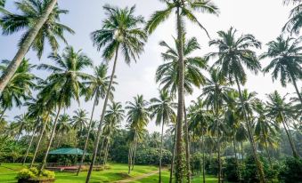 Teak Town