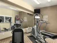 Microtel Inn & Suites by Wyndham Mansfield - Træningscentre
