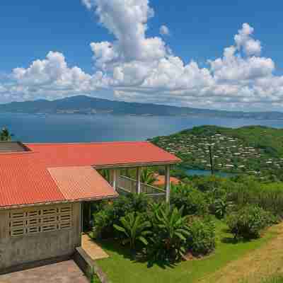 Le Manguier Panoramique Others