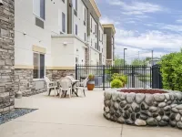 Comfort Suites Redding - Shasta Lake Hotels in Redding